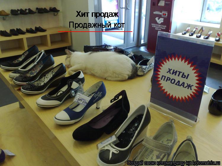 Хит продаж Хит продаж Продажный кот Продажный кот _________________... Котоматрица: Хит продаж Хит продаж Продажный кот Продажный кот _________________