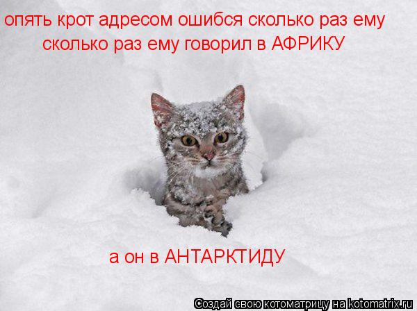 опять крот адресом ошибся сколько раз ему сколько раз ему говорил в АФРИКУ а он в АНТАРКТИДУ... Котоматрица: опять крот адресом ошибся сколько раз ему сколько раз ему говорил в АФРИКУ а он в АНТАРКТИДУ