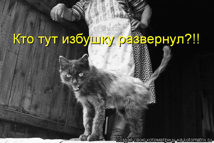 Котоматрица: Кто тут избушку развернул?!!