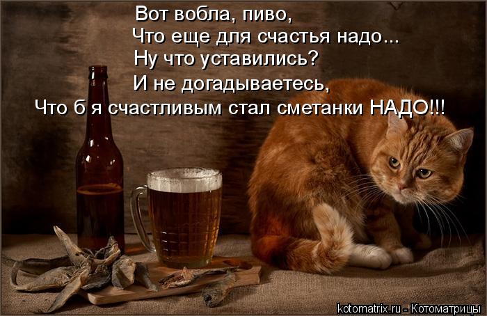 Вот вобла, пиво, Что еще для счастья надо... Ну что уставились? Что б я счастливым стал сметанки НАДО... Котоматрица: Вот вобла, пиво, Что еще для счастья надо... Ну что уставились? Что б я счастливым стал сметанки НАДО!!! И не догадываетесь,