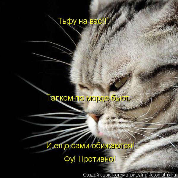 Тьфу на вас!!! Тапком по морде бьют, И ещо сами обижаются! Фу! Противно!... Котоматрица: Тьфу на вас!!! Тапком по морде бьют, И ещо сами обижаются! Фу! Противно!