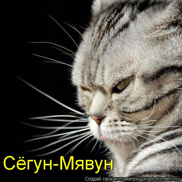 Сёгун-Мявун... Котоматрица: Сёгун-Мявун