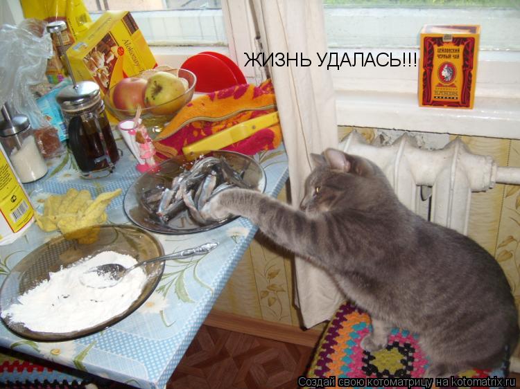 ЖИЗНЬ УДАЛАСЬ!!!... Котоматрица: ЖИЗНЬ УДАЛАСЬ!!!