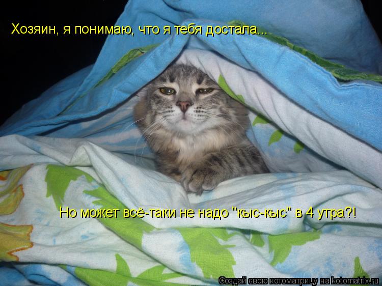 Хозяин, я понимаю, что я тебя достала... Но может всё-таки не надо "кыс-кыс" в 4 утра?!... Котоматрица: Хозяин, я понимаю, что я тебя достала... Но может всё-таки не надо "кыс-кыс" в 4 утра?!