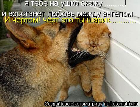 я тебе на ушко скажу .........! и восстанет любовь между ангелом И чертом! чёрт это ты шарик............ Котоматрица: я тебе на ушко скажу .........! и восстанет любовь между ангелом И чертом! чёрт это ты шарик............