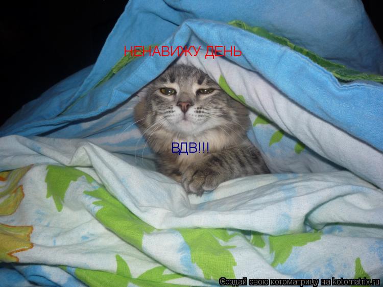 НЕНАВИЖУ ДЕНЬ ВДВ!!!... Котоматрица: НЕНАВИЖУ ДЕНЬ ВДВ!!!
