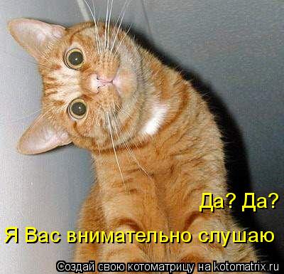 Котоматрица: Да? Да? Я Вас внимательно слушаю
