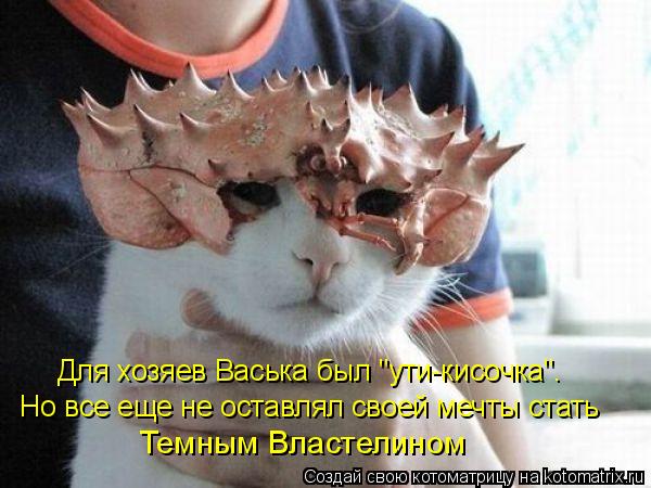 Для хозяев Васька был "ути-кисочка". Но все еще не оставлял своей мечты стать Темным Властелином... Котоматрица: Для хозяев Васька был "ути-кисочка". Но все еще не оставлял своей мечты стать Темным Властелином