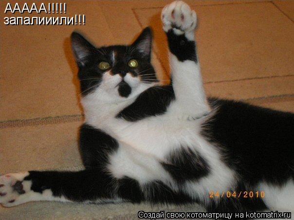 ААААА!!!!! запалииили!!!... Котоматрица: ААААА!!!!! запалииили!!!