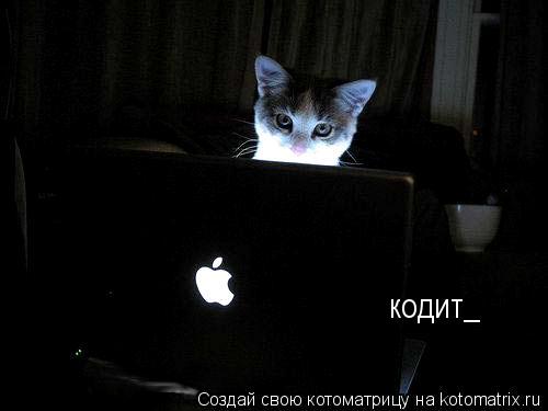кодит_... Котоматрица: кодит_