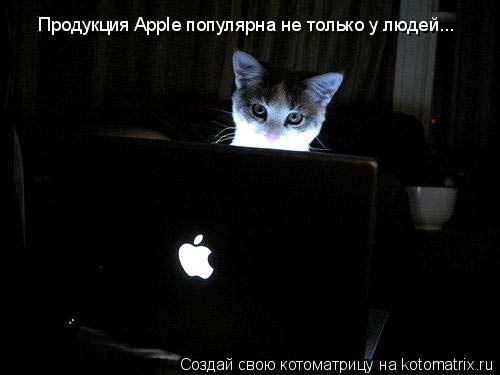 Продукция Apple популярна не только у людей...... Котоматрица: Продукция Apple популярна не только у людей...