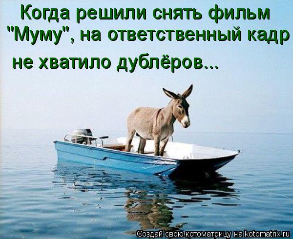 Когда решили снять фильм "Муму", на ответственный кадр не хватило дублёров...... Котоматрица: Когда решили снять фильм "Муму", на ответственный кадр не хватило дублёров...
