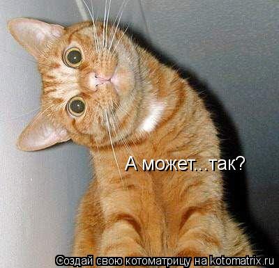А может...так?... Котоматрица: А может...так?