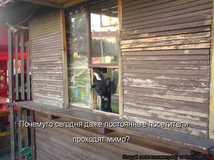Почемуто сегодня даже постоянные посетители проходят мимо?... Котоматрица: Почемуто сегодня даже постоянные посетители проходят мимо?