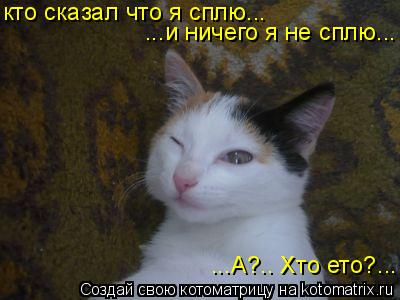 кто сказал что я сплю... ...и ничего я не сплю... ...А?.. Хто ето?...... Котоматрица: кто сказал что я сплю... ...и ничего я не сплю... ...А?.. Хто ето?...