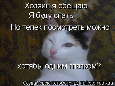 Хозяин,я обещаю Я буду спать! Но телек посмотреть можно хотябы одним глазком?... Котоматрица: Хозяин,я обещаю Я буду спать! Но телек посмотреть можно хотябы одним глазком?