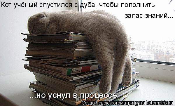 Кот учёный спустился с дуба, чтобы пополнить запас знаний... ...но уснул в процессе... Котоматрица: Кот учёный спустился с дуба, чтобы пополнить запас знаний... ...но уснул в процессе