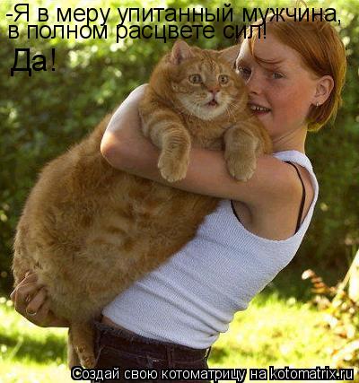 -Я в меру упитанный мужчина, в полном расцвете сил! Да!... Котоматрица: -Я в меру упитанный мужчина, в полном расцвете сил! Да!