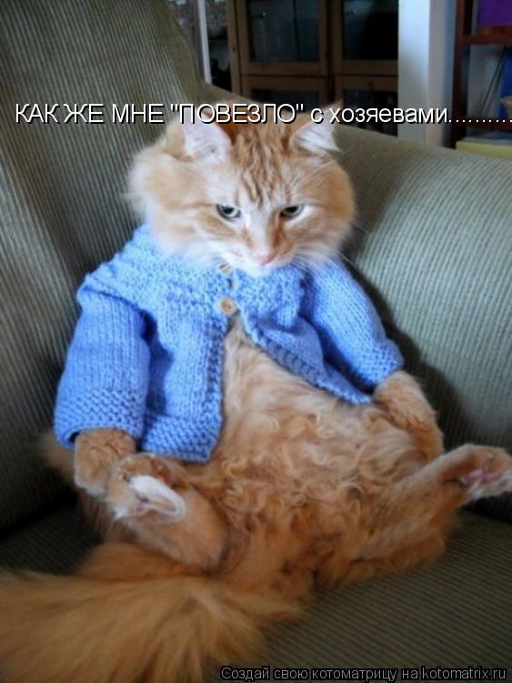 КАК ЖЕ МНЕ "ПОВЕЗЛО" с хозяевами............. Котоматрица: КАК ЖЕ МНЕ "ПОВЕЗЛО" с хозяевами..........