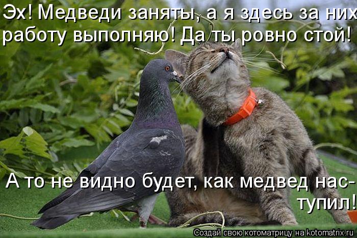 Эх! Медведи заняты, а я здесь за них работу выполняю! Да ты ровно стой! А то не видно будет, как медв... Котоматрица: Эх! Медведи заняты, а я здесь за них работу выполняю! Да ты ровно стой! А то не видно будет, как медвед нас- тупил!