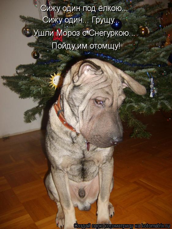 Сижу один под ёлкою... Сижу один... Грущу... Ушли Мороз с Снегуркою... Пойду им отомщу!... Котоматрица: Сижу один под ёлкою... Сижу один... Грущу... Ушли Мороз с Снегуркою... Пойду им отомщу!