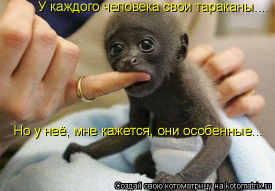 У каждого человека свои тараканы.... Но у неё, мне кажется, они особенные...... Котоматрица: У каждого человека свои тараканы.... Но у неё, мне кажется, они особенные...