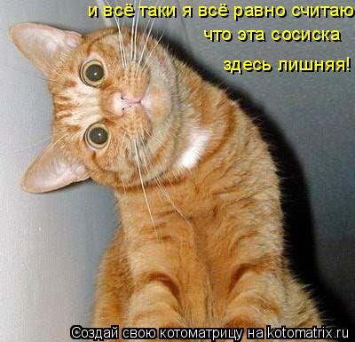 и всё таки я всё равно считаю, что эта сосиска здесь лишняя!... Котоматрица: и всё таки я всё равно считаю, что эта сосиска здесь лишняя!
