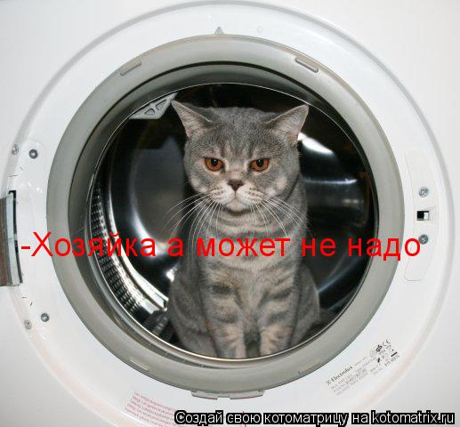 -Хозяйка а может не надо... Котоматрица: -Хозяйка а может не надо