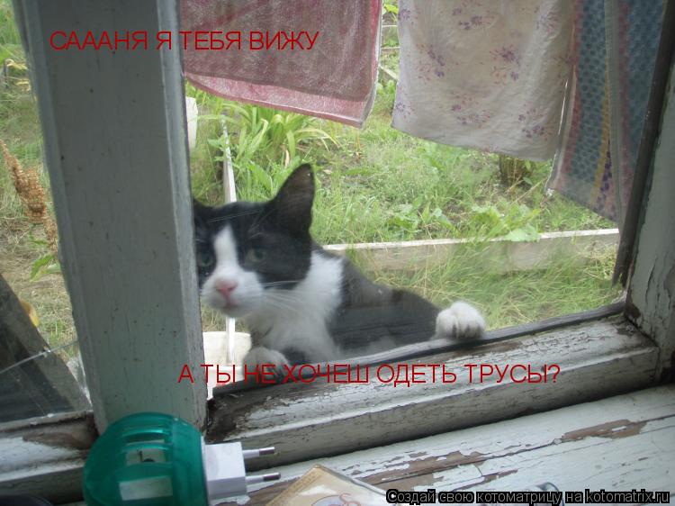 САААНЯ Я ТЕБЯ ВИЖУ А ТЫ НЕ ХОЧЕШ ОДЕТЬ ТРУСЫ?... Котоматрица: САААНЯ Я ТЕБЯ ВИЖУ А ТЫ НЕ ХОЧЕШ ОДЕТЬ ТРУСЫ?