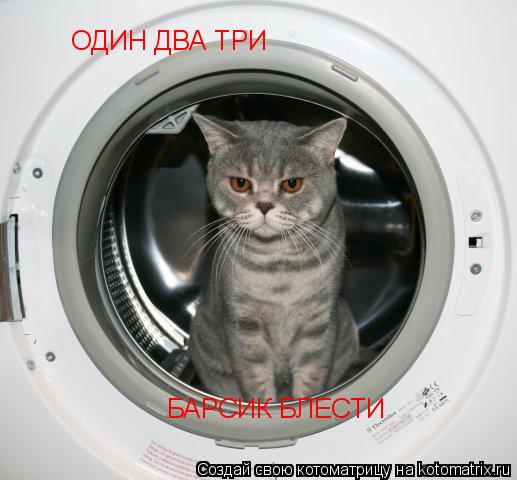 ОДИН ДВА ТРИ БАРСИК БЛЕСТИ... Котоматрица: ОДИН ДВА ТРИ БАРСИК БЛЕСТИ