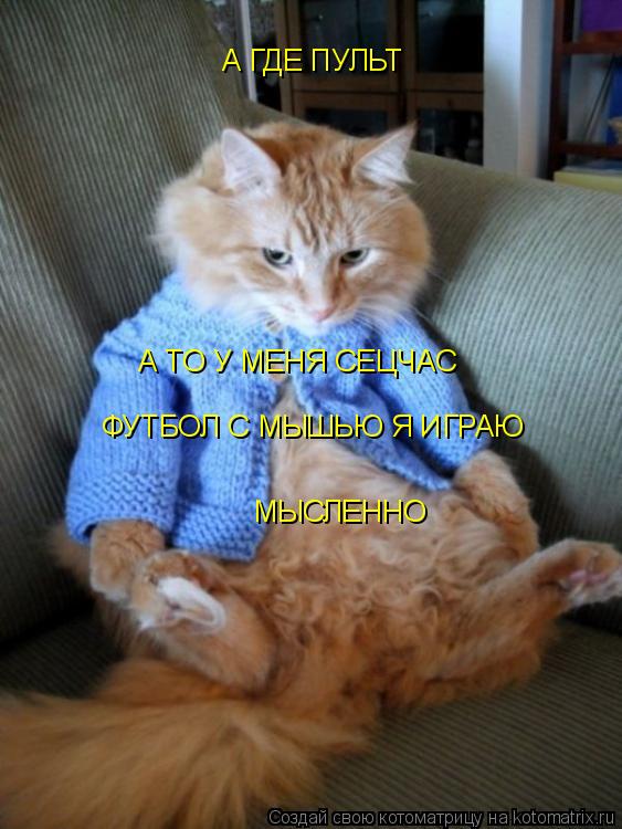 А ГДЕ ПУЛЬТ А ТО У МЕНЯ СЕЦЧАС ФУТБОЛ С МЫШЬЮ Я ИГРАЮ МЫСЛЕННО... Котоматрица: А ГДЕ ПУЛЬТ А ТО У МЕНЯ СЕЦЧАС ФУТБОЛ С МЫШЬЮ Я ИГРАЮ МЫСЛЕННО