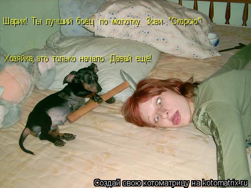 Шарик! Ты лучший боец по молотку. Зови "Скорою"! Хозяйка, это только начало. Давай ещё! ... Котоматрица: Шарик! Ты лучший боец по молотку. Зови "Скорою"! Хозяйка, это только начало. Давай ещё! Хозяйка, это только начало. Давай ещё! Хозяйк