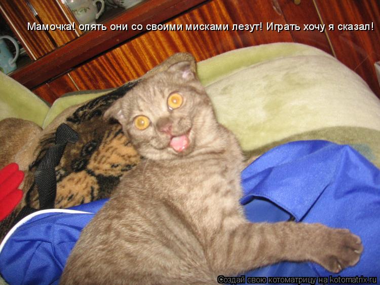 Мамочка! опять они со своими мисками лезут! Играть хочу я сказал!... Котоматрица: Мамочка! опять они со своими мисками лезут! Играть хочу я сказал!