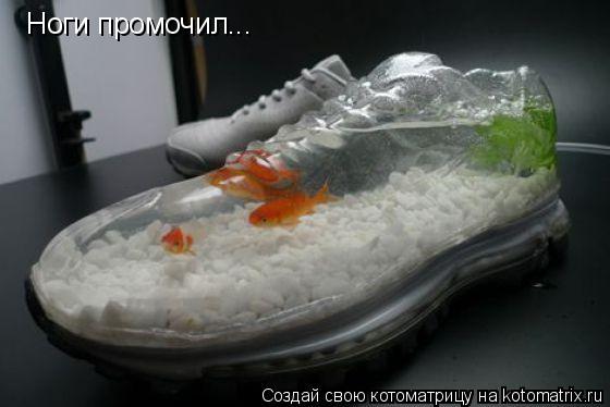 Ноги промочил...... Котоматрица: Ноги промочил...