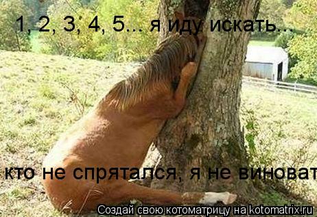 1, 2, 3, 4, 5... я иду искать... кто не спрятался, я не виноват... Котоматрица: 1, 2, 3, 4, 5... я иду искать... кто не спрятался, я не виноват