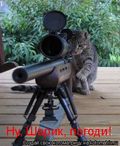 Ну, Шарик, погоди!... Котоматрица: Ну, Шарик, погоди!