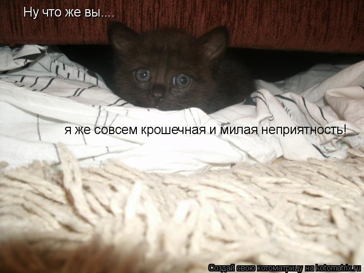 Ну что же вы.... я же совсем крошечная и милая неприятность!... Котоматрица: Ну что же вы.... я же совсем крошечная и милая неприятность!