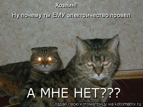 Хозяин! Ну почему ты ЕМУ электричество провёл А МНЕ НЕТ???... Котоматрица: Хозяин! Ну почему ты ЕМУ электричество провёл А МНЕ НЕТ???