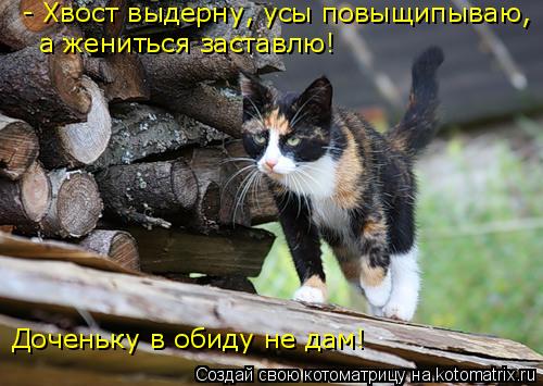 - Хвост выдерну, усы повыщипываю, а жениться заставлю! Доченьку в обиду не дам!... Котоматрица: - Хвост выдерну, усы повыщипываю, а жениться заставлю! Доченьку в обиду не дам!