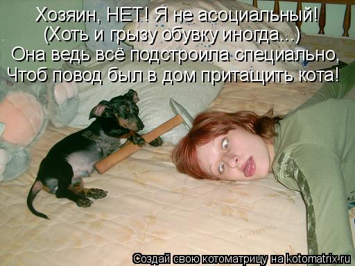 Хозяин, НЕТ! Я не асоциальный! (Хоть и грызу обувку иногда...) Она ведь всё подстроила специально, Чт... Котоматрица: Хозяин, НЕТ! Я не асоциальный! (Хоть и грызу обувку иногда...) Она ведь всё подстроила специально, Чтоб повод был в дом притащить кота!