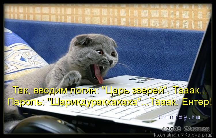 Так, вводим логин: "Царь зверей". Тааак... Пароль: "Шарикдуракхахаха"...Тааак. Ентер!... Котоматрица: Так, вводим логин: "Царь зверей". Тааак... Пароль: "Шарикдуракхахаха"...Тааак. Ентер!