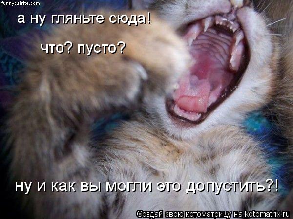 что? пусто? ну и как вы могли это допустить?! а ну гляньте сюда!... Котоматрица: что? пусто? ну и как вы могли это допустить?! а ну гляньте сюда!