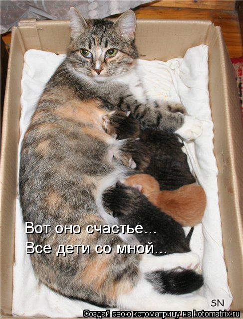 Вот оно счастье... Все дети со мной...... Котоматрица: Вот оно счастье... Все дети со мной...