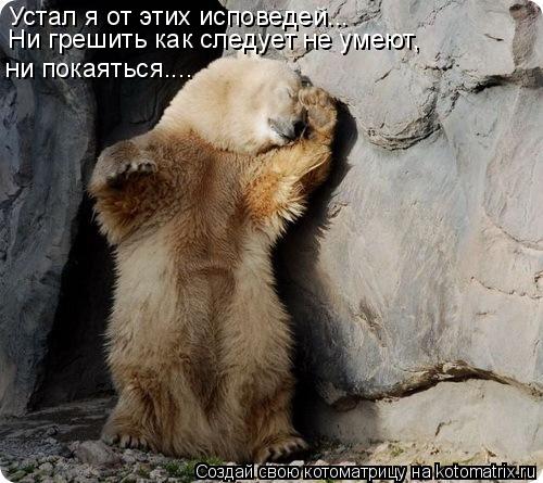 Устал я от этих исповедей... Ни грешить как следует не умеют, ни покаяться....... Котоматрица: Устал я от этих исповедей... Ни грешить как следует не умеют, ни покаяться....