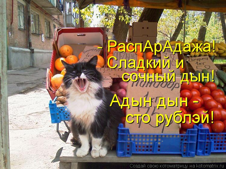 - РаспАрАдажа! Сладкий и сочный дын! Адын дын - сто рублэй!... Котоматрица: - РаспАрАдажа! Сладкий и сочный дын! Адын дын - сто рублэй!