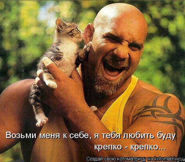 Возьми меня к себе, я тебя любить буду крепко - крепко...... Котоматрица: Возьми меня к себе, я тебя любить буду крепко - крепко...