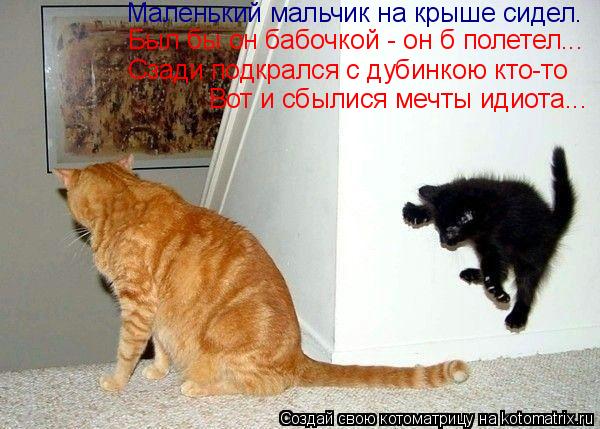 Маленький мальчик на крыше сидел. Был бы он бабочкой - он б полетел... Сзади подкрался с дубинкою кто... Котоматрица: Маленький мальчик на крыше сидел. Был бы он бабочкой - он б полетел... Сзади подкрался с дубинкою кто-то Вот и сбылися мечты идиота...