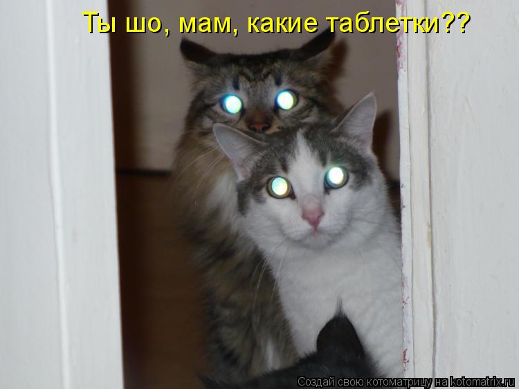 Ты шо, мам, какие таблетки??... Котоматрица: Ты шо, мам, какие таблетки??