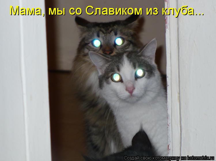 Мама, мы со Славиком из клуба...... Котоматрица: Мама, мы со Славиком из клуба...