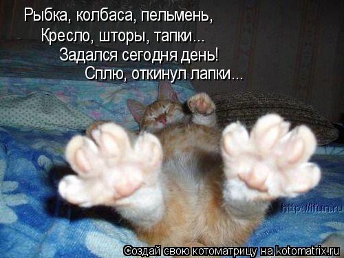 Задался сегодня день! Сплю, откинул лапки... Кресло, шторы, тапки... Рыбка, колбаса, пельмень,... Котоматрица: Задался сегодня день! Сплю, откинул лапки... Кресло, шторы, тапки... Рыбка, колбаса, пельмень,